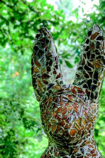 Beer Bottle Bunny | Botanical Gardens Göteborg Sweden | nosha | Flickr