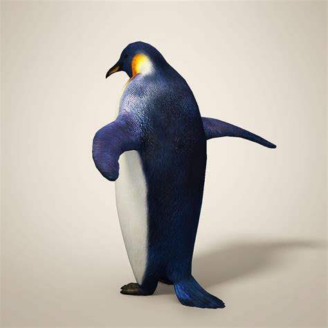 3D penguin - TurboSquid 1236677