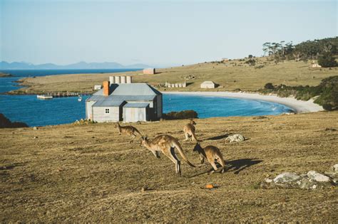 Maria Island National Park | Parks & Wildlife Service Tasmania