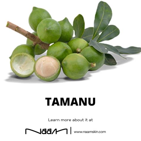 Tamanu – Naam • Redefining Beauty • Handmade