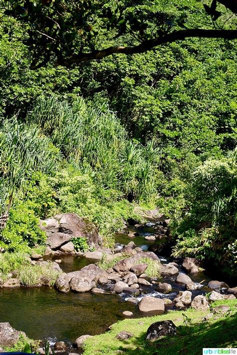 Limahuli Garden and Preserve Kauai Hawaii Island