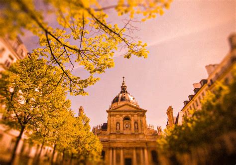 Il était une fois l’IAE Paris-Sorbonne | Campus Com