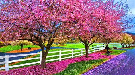 🔥 [50+] Beautiful Spring Wallpapers Desktop | WallpaperSafari