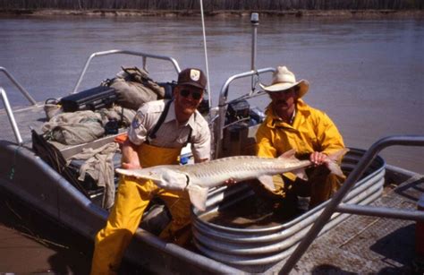 Free picture: two, men, boat, holding, pallid, sturgeon, fish