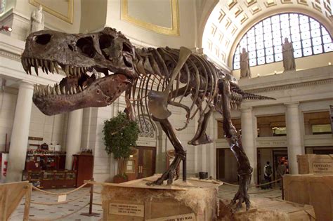 The 10 Most Important Dinosaurs of North America