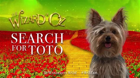 Toto Wizard Of Oz