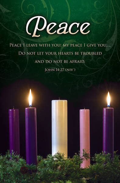 Peace Advent Week 2 Regular Size Bulletin - Pack o | Cokesbury