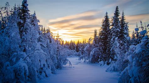 landscape, Snow, Winter, Forest, Trees, Sunrise Wallpapers HD / Desktop ...