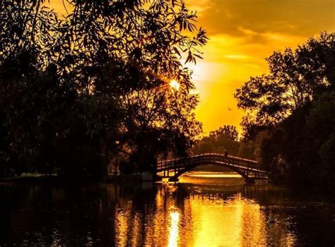 THE 10 BEST Things to Do in Stratford 2024 (with Photos) - Tripadvisor