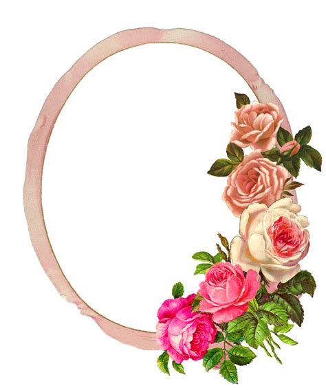 Picture Frame Crafts, Painted Picture Frames, Flower Frame Png, Rose Frame, Rose Clipart, Flower ...