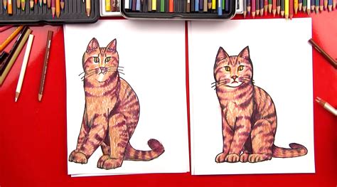 How To Draw A Realistic Cat - Art for Kids Hub