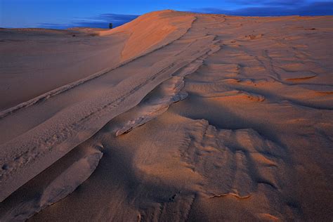 Silver Lake Sand Dunes Photograph by Dean Pennala - Fine Art America