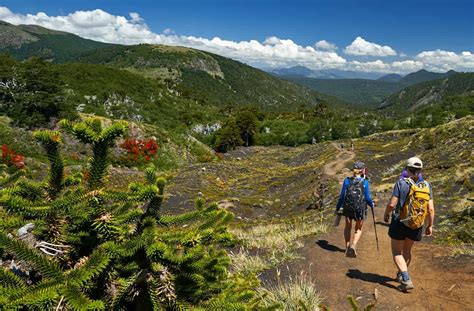 8-Day Hiking Tour in Chile's Lake and Volcano District - Adventure ...