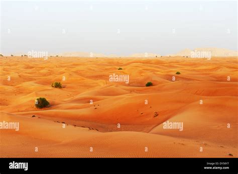 The desert during sunset, Dubai, UAE Stock Photo - Alamy