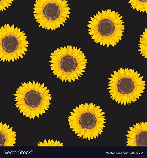 Botanical seamless pattern with sunflower heads Vector Image