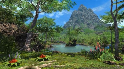 Final Fantasy XIV Island Sanctuary Demoed Before Patch 6.2 - Siliconera