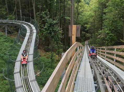 The Gatlinburg Mountain Coaster In Tennessee That Will Take You On A Ride Of A Lifetime