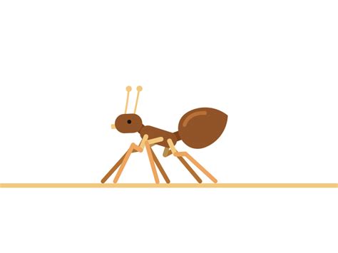 Ant – Anidays 109 | Motion design animation, Motion design, Motion