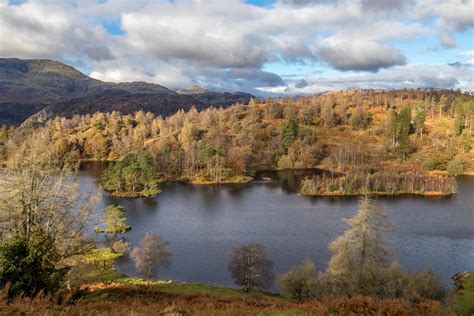 Tarn Hows walk - The Tarns walk - Coniston walks - Lake District walks