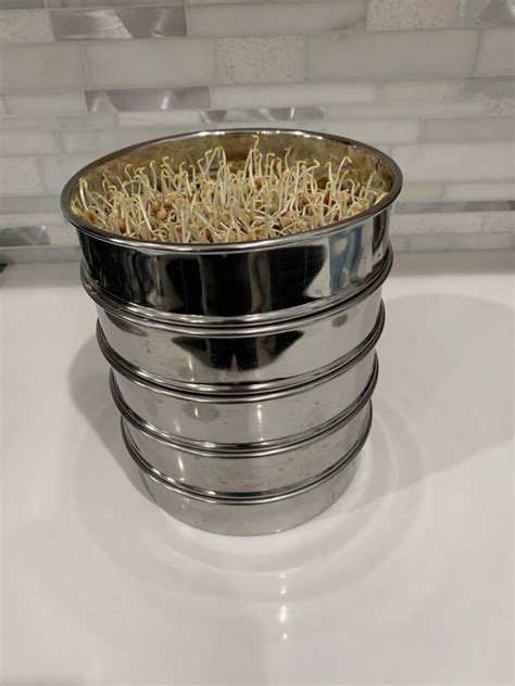 Stainless Steel Seed Sprouting Tray-8 Inch Stackable Sprouter Kit for ...