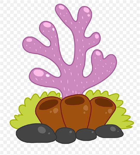 Clip Art Image Cartoon Coral Drawing, PNG, 800x904px, Cartoon ...