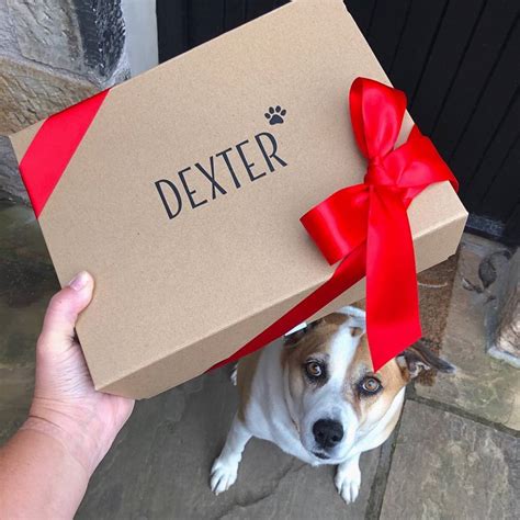 Personalised Dog Gift Hamper By Kelso and Titch | notonthehighstreet.com