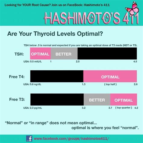 Men's Thyroid Levels | T3 And T4 Levels Related Keywords & Suggestions ...