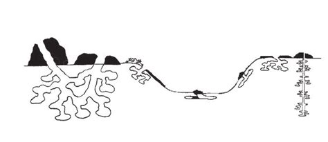 Schematic of mounds and burrows of prairie dogs (Cynomys spp.), ground ...