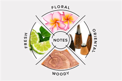 Fragrance Classification, Cologne Scents & Types of Perfume Scents ...