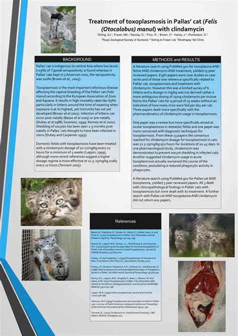 (PDF) Treatment of Pallas' cats with toxoplasmosis with clindamycin