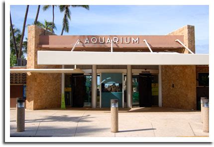 Waikiki Aquarium