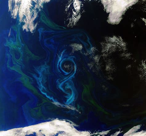 Ocean's 8: Satellite Snaps Stunning Photo of Algae Bloom | Space