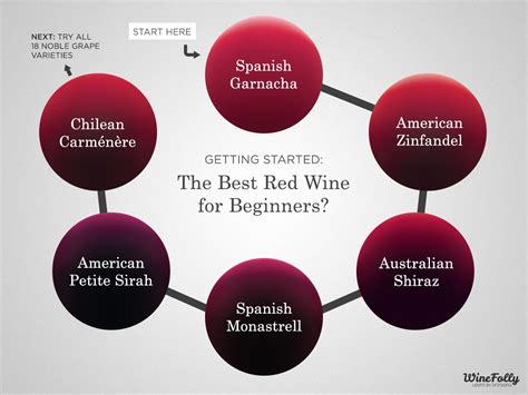 The Best Red Wine For Beginners | Wine Folly