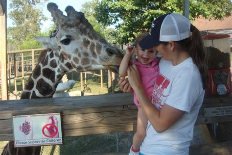 Stink and I: Metro Richmond Zoo