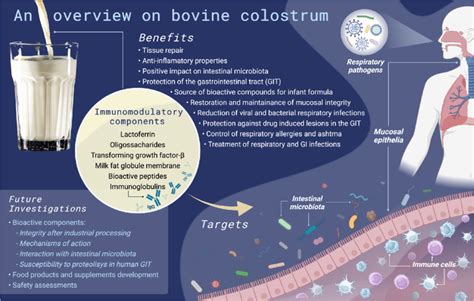 Benefits associated with the intake of bovine colostrum or its isolated... | Download Scientific ...