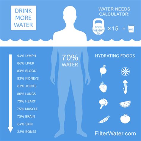 How Much Water Should I Drink A Day | FilterWater.com