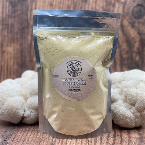 Lion's Mane Powder (bulk) - Guided By Mushrooms