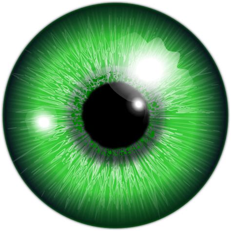 Green Eye Clip Art at Clker.com - vector clip art online, royalty free & public domain