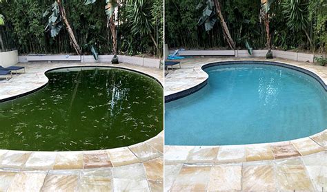 How to fix a green pool