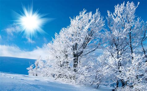 Sunny Winter Landscape Wallpapers - Wallpaper Cave