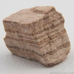 Banded Sandstone Sedimentary Rock - Mini Me Geology