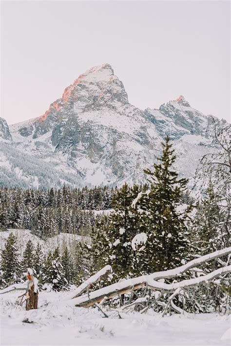 Snake River Overlook Winter Elopement - Janelle & Co Photo