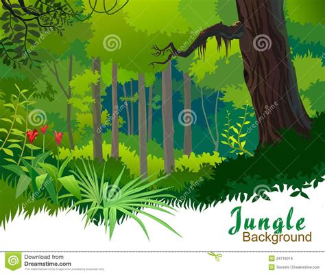 amazon rainforest clipart 20 free Cliparts | Download images on ...