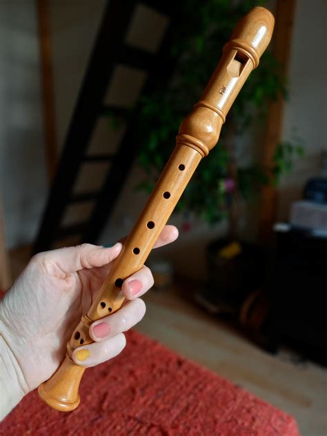 I've bought my first wooden recorder ever! The sound! And dynamics! Oh ...