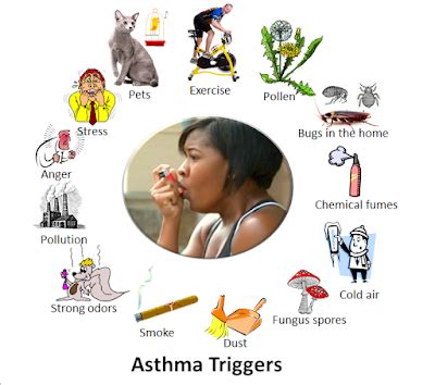 Asthma Allergies | MEDIC-MART