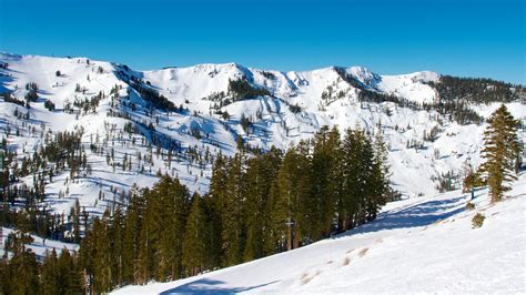 Alpine Meadows Ski Resort in South Lake Tahoe, California | Expedia.ca