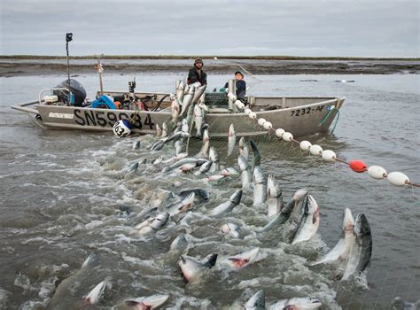 An Alaska You've Never Seen | Bristol bay, Alaska fishing, Alaska