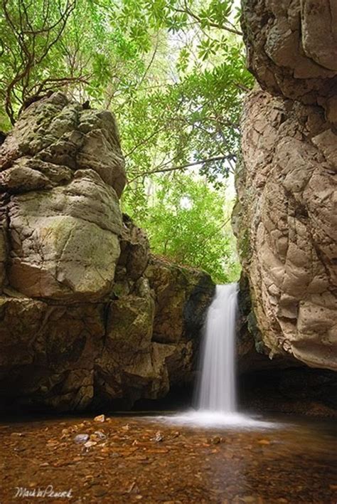 Appalachian Treks: Waterfalls