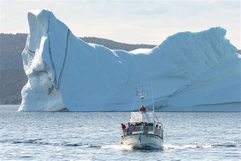 25 Unforgettable Things to Do in Newfoundland » Local Adventurer