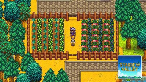 Stardew Valley – What Are the Best Summer Crops? 🔥 Summer in Stardew ...